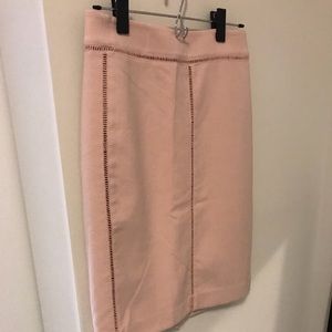 Ann Taylor pink pencil skirt